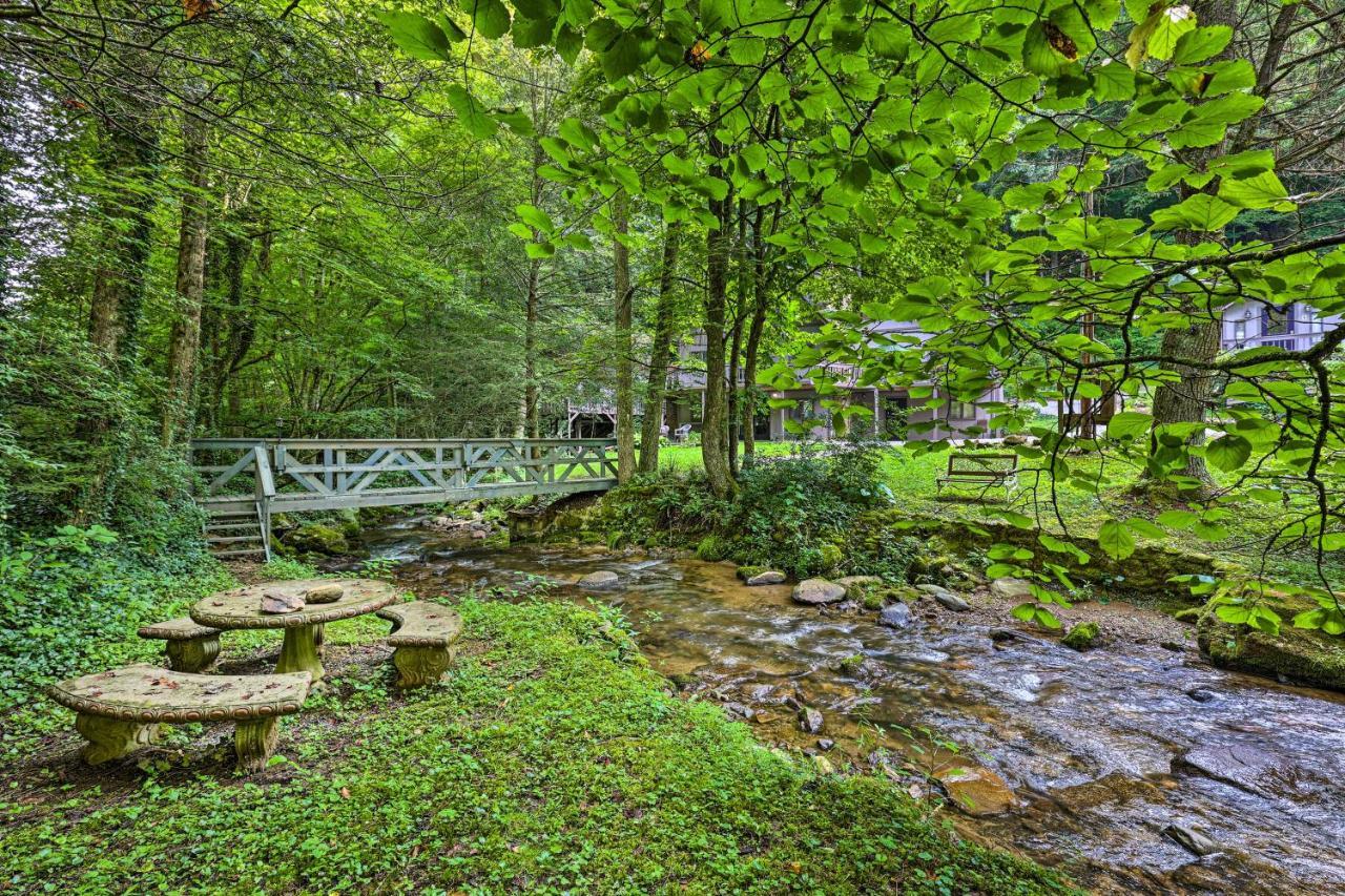 Roan Mountain Creekside Cabin Hike And Fish! Dış mekan fotoğraf